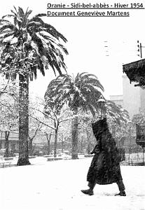 Sidi bel abbes 384